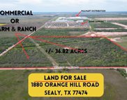 1880 Orange Hill Road, Sealy image