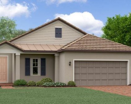 10668 Banyan Breeze Boulevard, Land O' Lakes