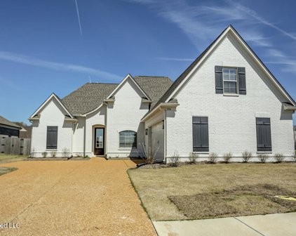 1754 Lia Lane, Southaven
