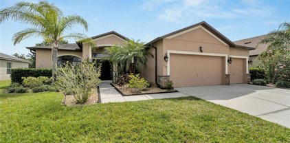 302 Star Shell Drive, Apollo Beach