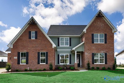 16 Belle River Way, Gurley