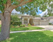 2038 Wexford Green Drive, Valrico image