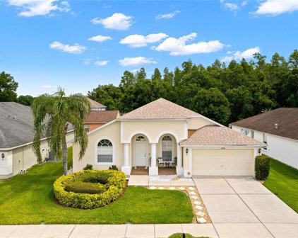 18143 Palm Breeze Drive, Tampa