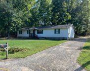 310 Hollow St, Hohenwald image