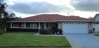 101 Barclay Court, Debary