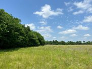 Lot 1: 2415 County Rd 2134, Caddo Mills image