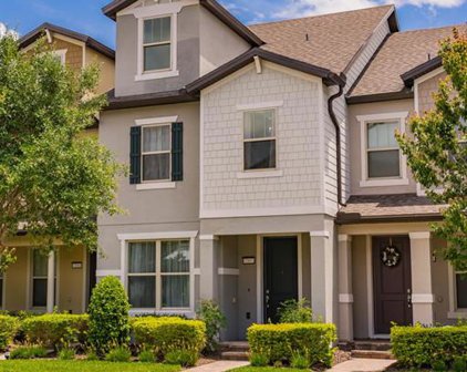 7357 Duxbury Lane, Winter Garden