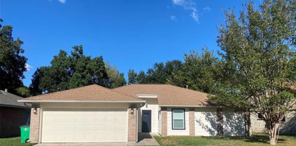 24030 Spring Gum Drive, Spring