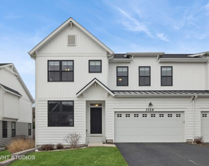 3729 Tramore Court, Naperville