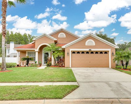 4947 Ridgemoor Circle, Palm Harbor