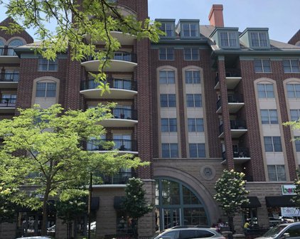 44 N Vail Avenue Unit #314, Arlington Heights