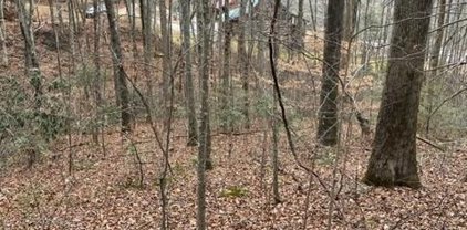 Lot 5 Hickory Hollow Way, Sevierville