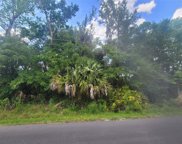 242 Toms Road, Debary image