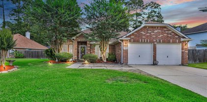 918 S Astern Drive, Crosby