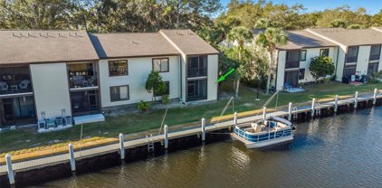 357 Moorings Cove Drive, Tarpon Springs