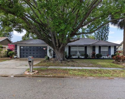12110 Caper Street, Orlando