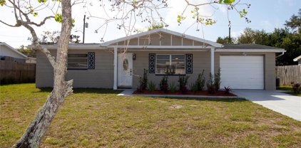2407 Palmwood Drive, Holiday