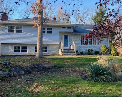 75 Skyline Dr, Watchung Boro