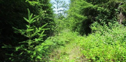 000 Mt. Pleasant Rd, Lebanon