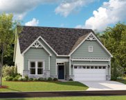 31519 Deep Pond Ln, Frankford image