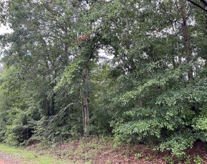 Wilville Road, Fort Valley