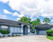 8721 Latham Lane, Hudson image