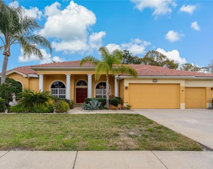 3367 Crescent Oaks Boulevard, Tarpon Springs