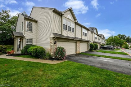 3932 Gardiner Run, Copley