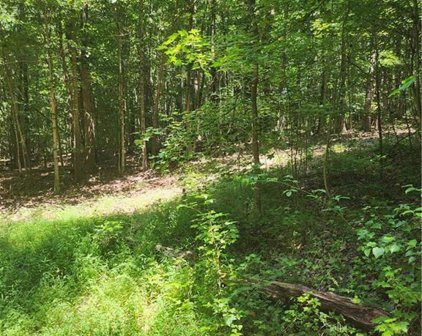 635 Marvin Land Lane, Canton
