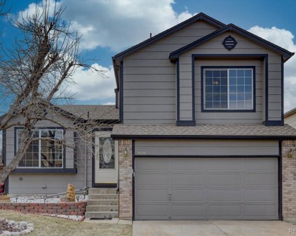 9806 Castle Ridge Circle, Highlands Ranch