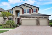 11078 Sundrift Drive, Tampa image