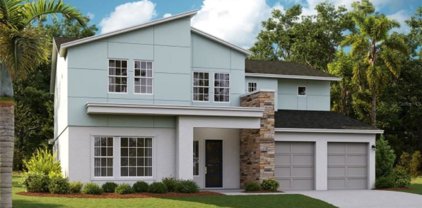 19211 Allium Place, Orlando