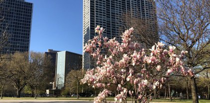 2800 N Lake Shore Drive Unit #3403, Chicago