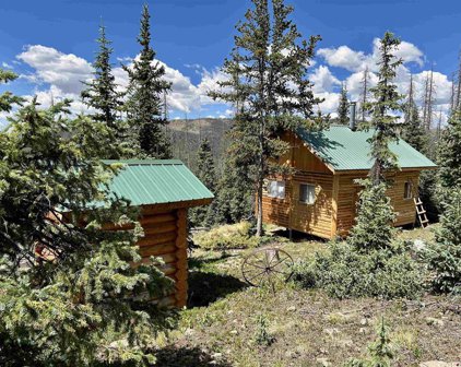 3190 Forest Road 503, Creede