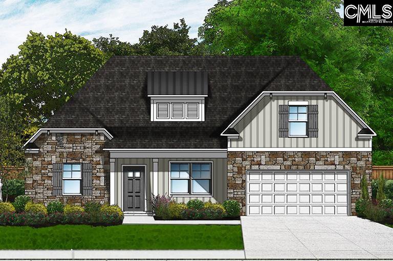 105 Collins Cove Drive, Chapin, 29036