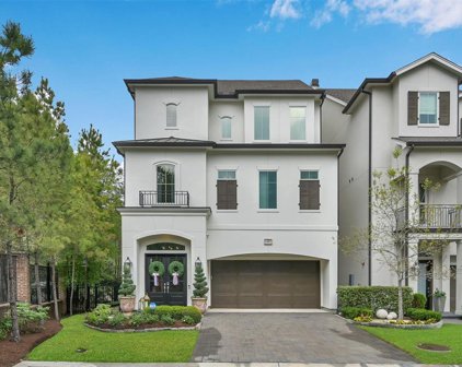 3 Waterton Cove Place Place, The Woodlands