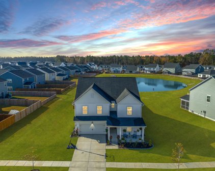 151 Garden Lily Lane, Summerville