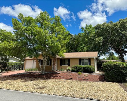 8175 Sw 109 St, Ocala