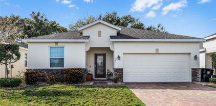 785 Panical Drive, Apopka