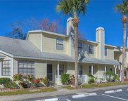 12578 Castle Hill Drive, Tampa image