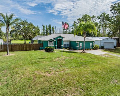 27027 Green Willow Run, Wesley Chapel
