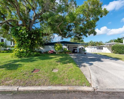 604 Danube Avenue, Tampa