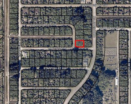 00 Sw Sandollar, Palm Bay