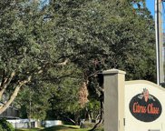 8329 Citrus Chase Drive, Orlando image