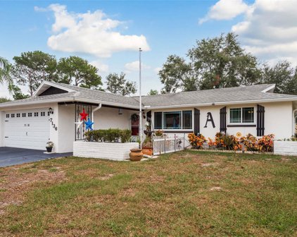 7136 Isle Drive, Port Richey