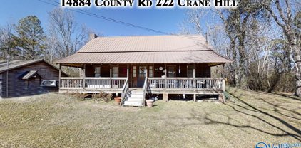 14884 County Road 222, Crane Hill