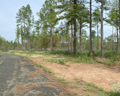 24633 Lot 29 Fm 844, Huntington