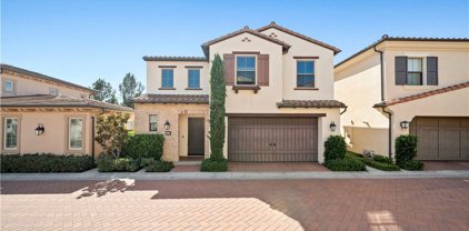 121 Stallion, Irvine