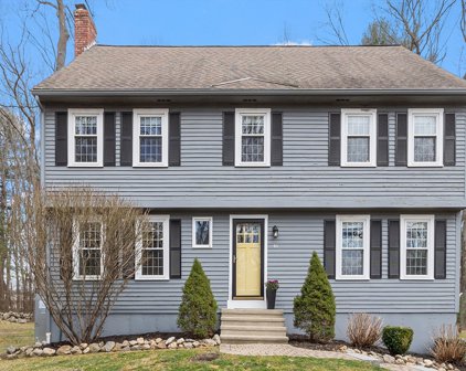 46 Woodberry Lane, North Andover