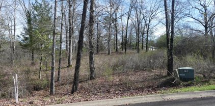 Lot 18 ROSE CREEK Court, Hot Springs